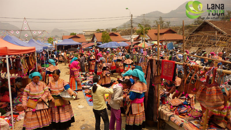 Bac Ha
